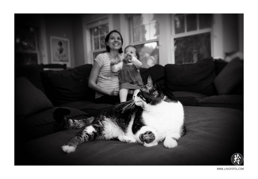family
