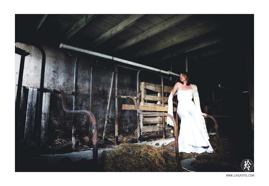 mary bridal / trash-the-dress