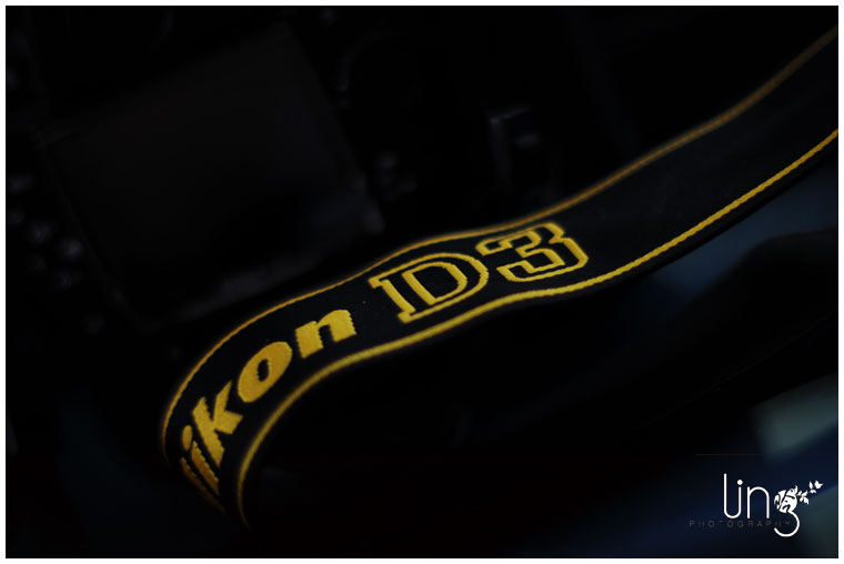 nikond3