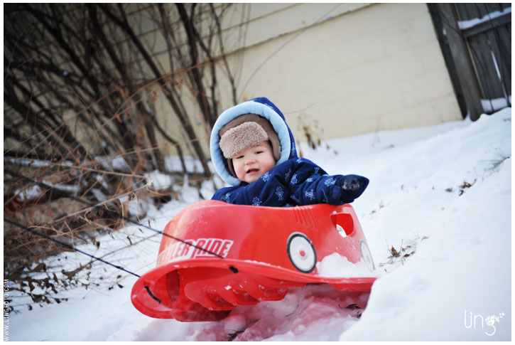 sled