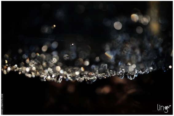 bokeh