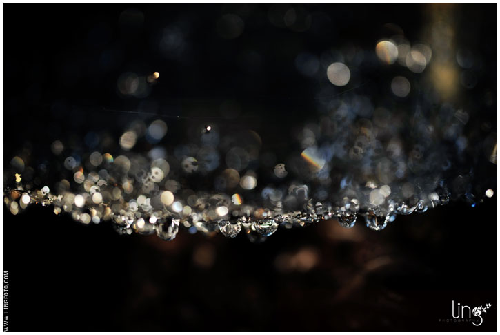 bokeh